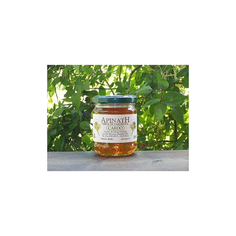 Thistle honey - Apinath Thistle honey - Apinath