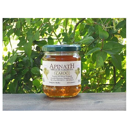 Miele di cardo - Apinath