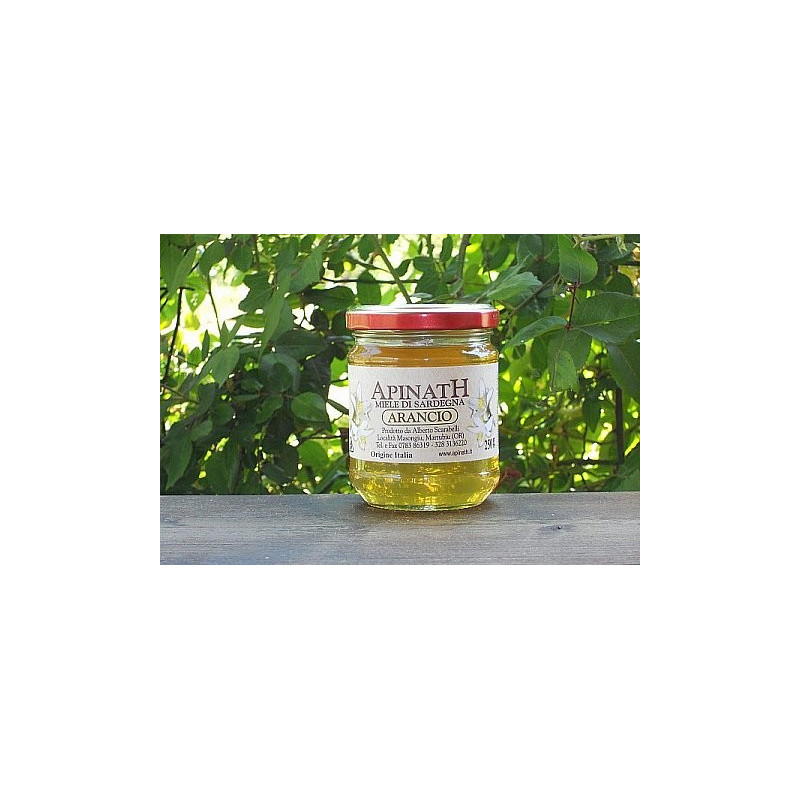 Orange honey - Apinath Orange honey - Apinath