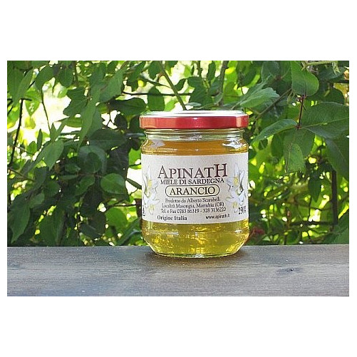 Miele di arancio - Apinath