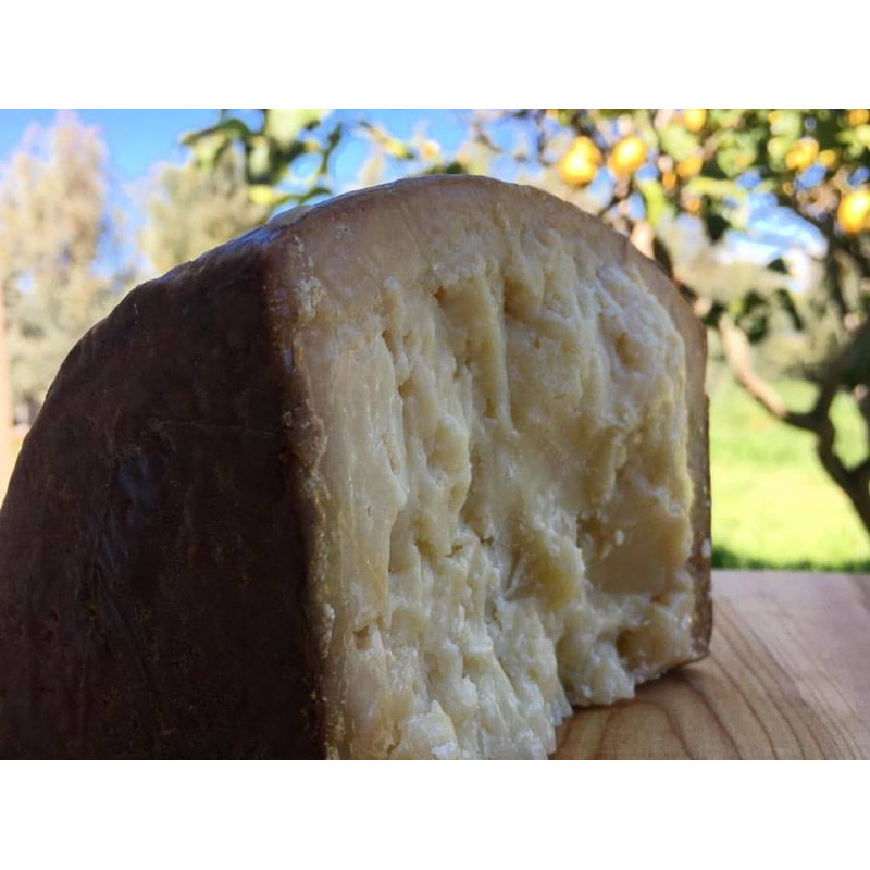 Reifer Pecorino, sardischer Käse Reifer Pecorino, sardischer Käse