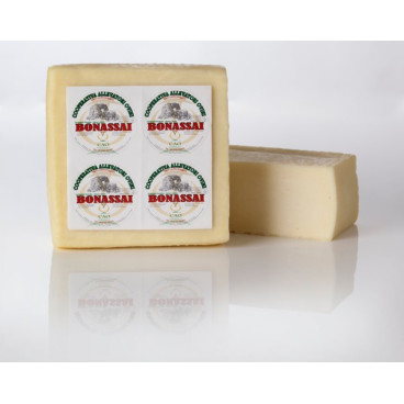 Bonassai - Cao Formaggi