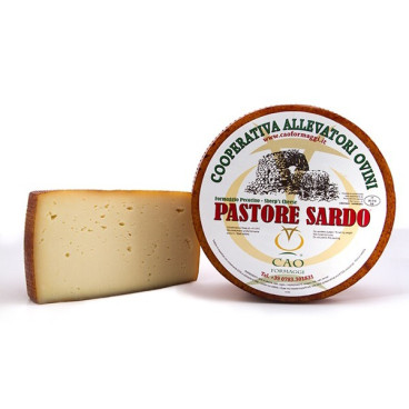 Pastore sardo - Cao Formaggi