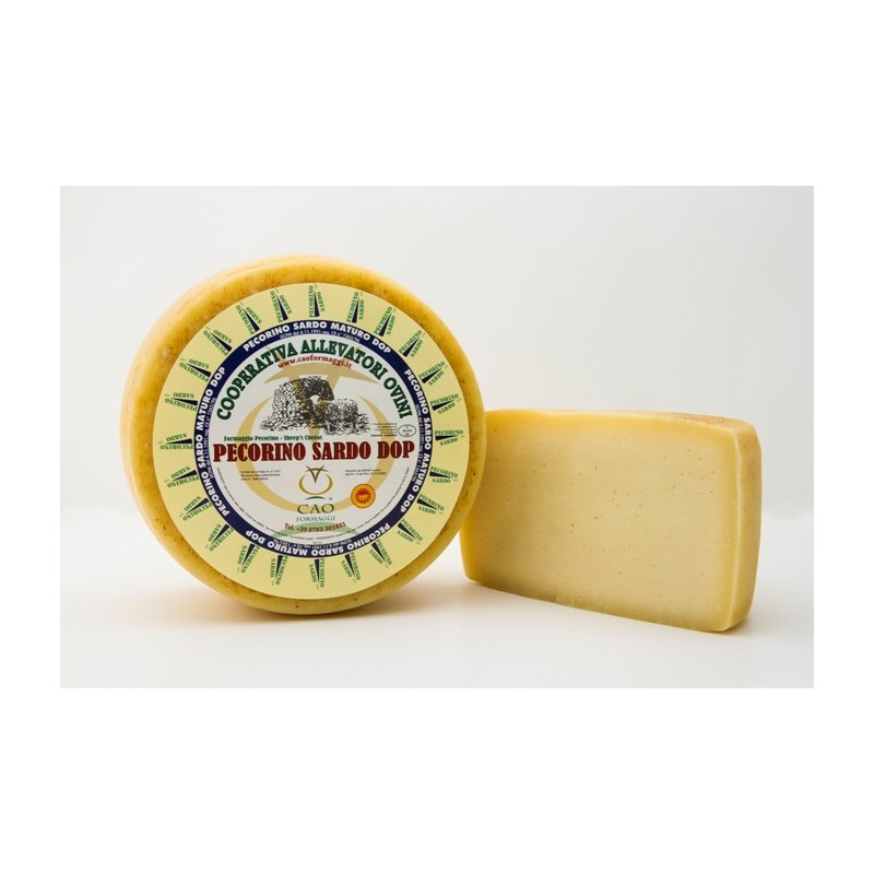 Pecorino sardo Dop reif - Halbform - Cao Formaggi Pecorino sardo Dop reif - Halbform - Cao Formaggi