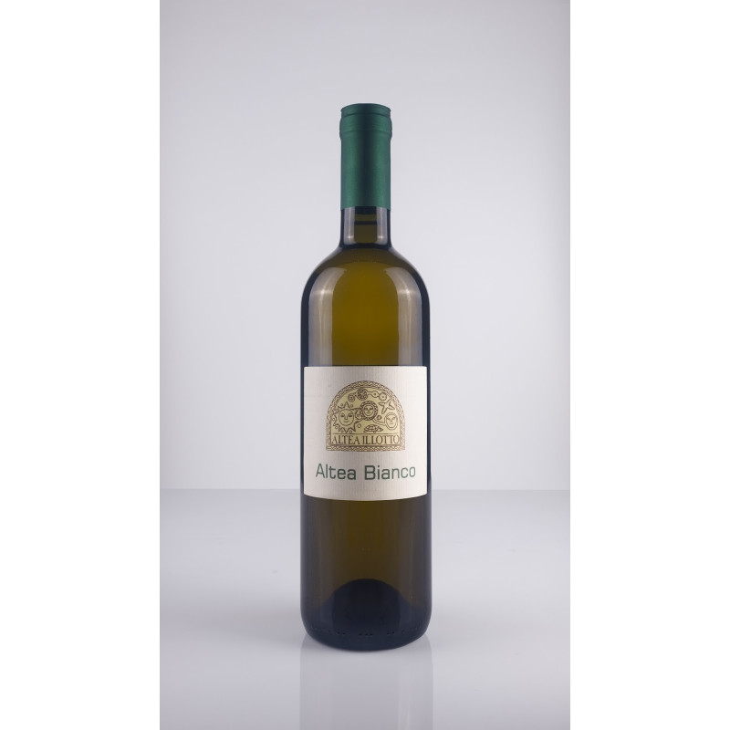 Altea Illotto Weiß. Bio-Weißwein - Altea Illotto Altea Illotto Weiß. Bio-Weißwein - Altea Illotto