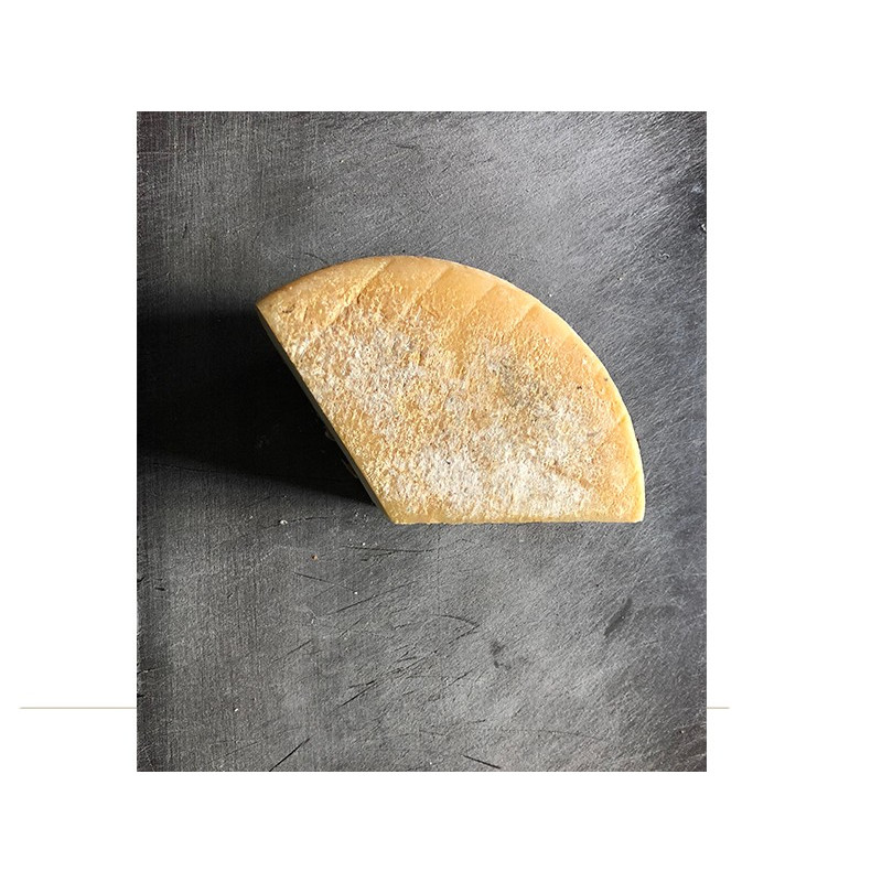 Fromage pecorino à caillé étiré - Il Filato Fromage pecorino à caillé étiré - Il Filato