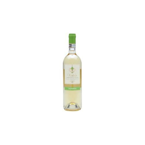 Karagnanj - Cantina Tondini