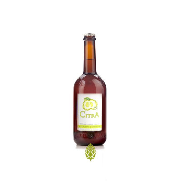 Nibari, Indian Pale Ale al Ginepro - Birrificio Terrantiga