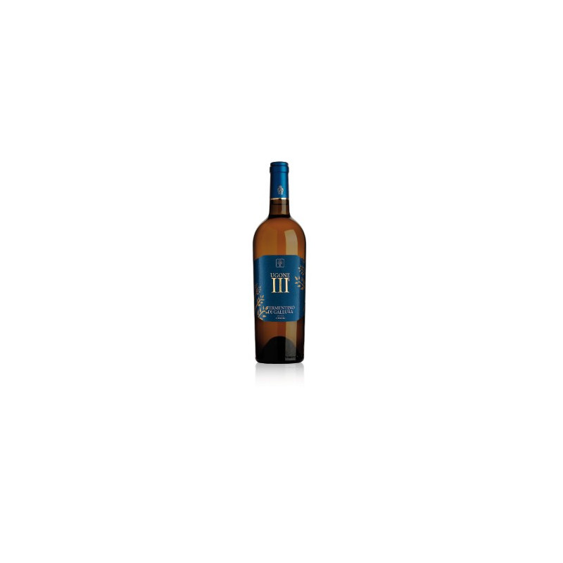 Ugone III - Cantina della Vernaccia Ugone III - Cantina della Vernaccia