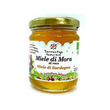 Organic thistle honey - Terrantiga