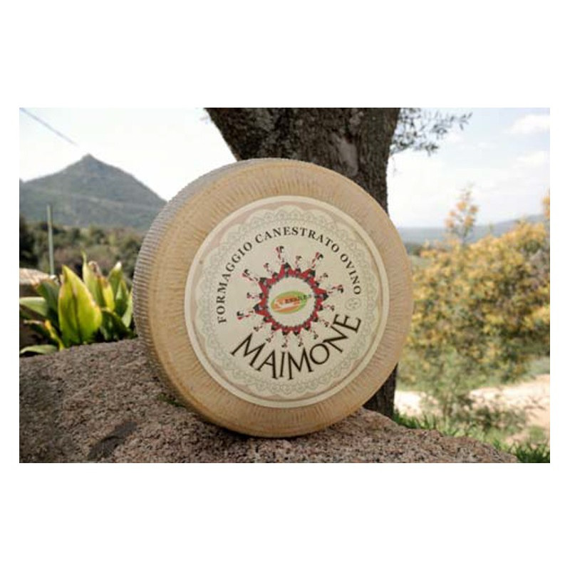 Maimone, vegetarian pecorino cheese - Erkiles Maimone, vegetarian pecorino cheese - Erkiles