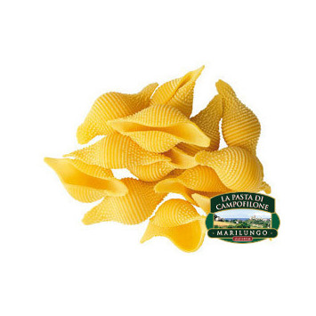 Conchiglioni - Marilungo