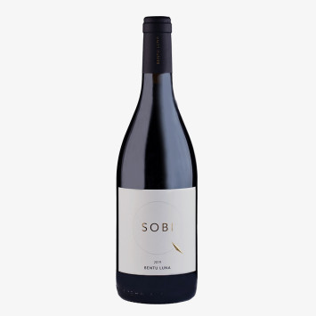 Pontis, Vernaccia avec des raisins secs - Contini