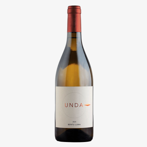 Pontis, Vernaccia avec des raisins secs - Contini