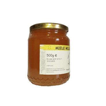 Bio-Wildblütenhonig – Toskanischer Honig – 500-g-Glas – Azienda Agricola Maccioni Piero