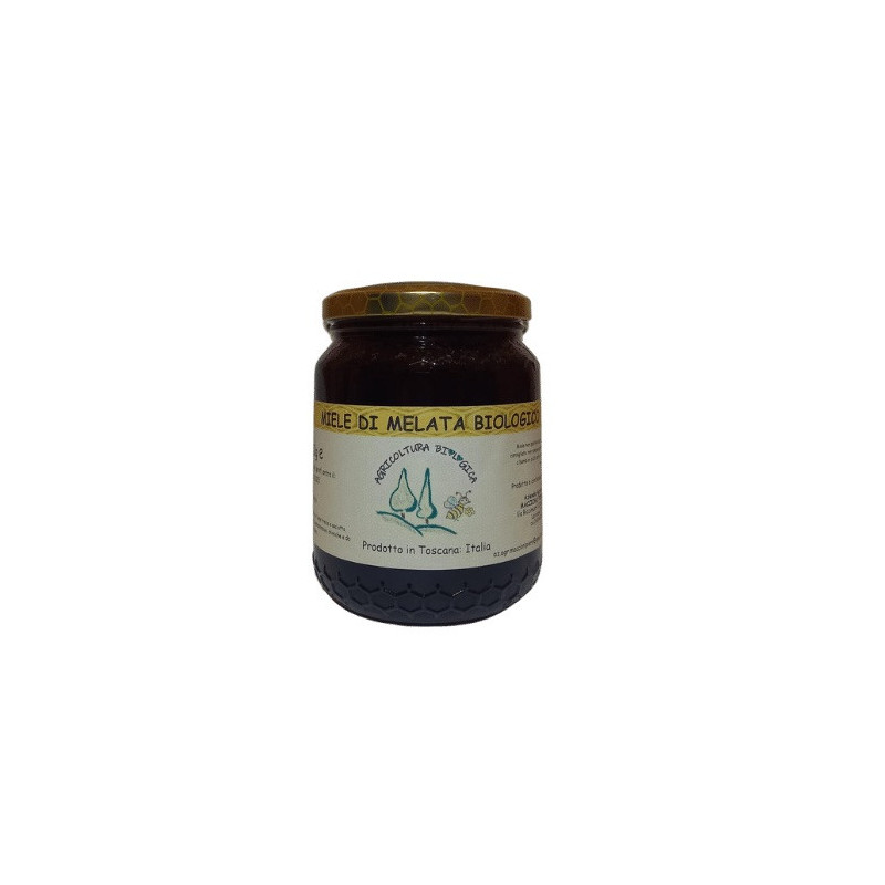 Bio-Waldhonig – Toskanischer Honig – 500-g-Glas – Azienda Agricola Maccioni Piero Bio-Waldhonig – Toskanischer Honig – 500-g-Glas – Azienda Agricola Maccioni Piero
