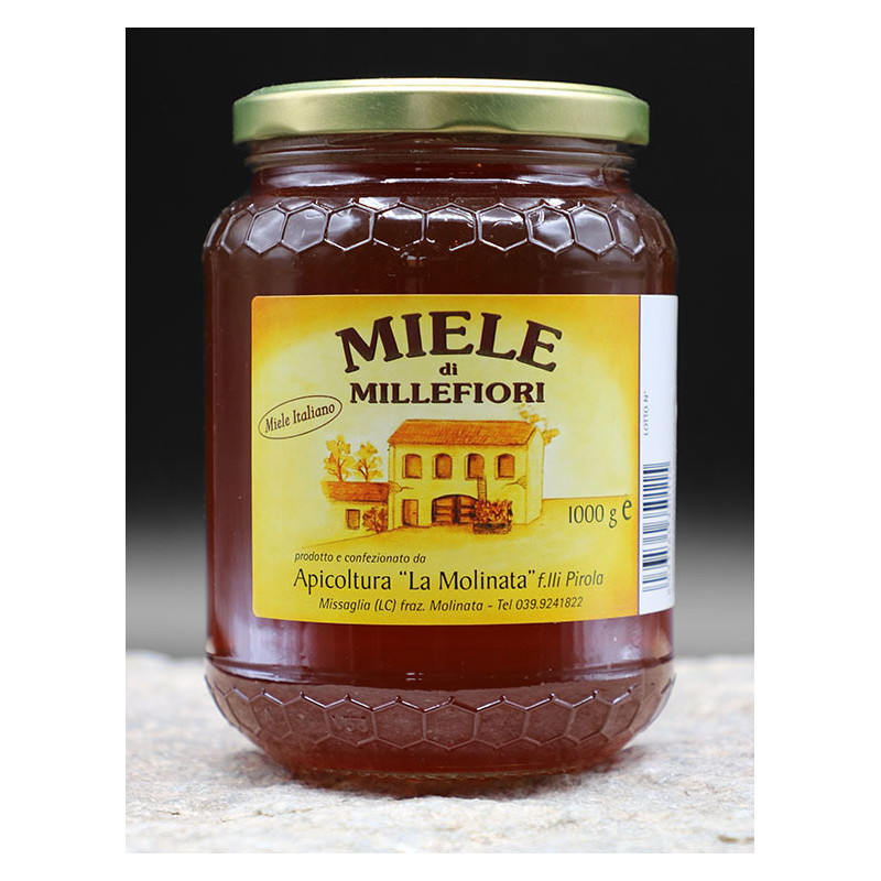 Miele Millefiori Brianza - Miele Lombardo - Vasetto da 250g - Apicoltura “La Molinata” Miele Millefiori Brianza - Miele Lombardo - Vasetto da 250g - Apicoltura “La Molinata”