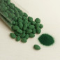 Amandes au Chocolat et à la Spiruline - Amandes Enrobées - Produites à Bari - Sachet de 200 g - La Fattoria Della Mandorla Amandes au Chocolat et à la Spiruline - Amandes Enrobées - Produites à Bari - Sachet de 200 g - La Fattoria Della Mandorla