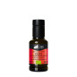 Bella di Cerignola BIO - Huile d’Olive Extra Vierge - Produit Typique des Pouilles - Bouteille de 100 ml - Tenute Donna Vittoria Bella di Cerignola BIO - Huile d’Olive Extra Vierge - Produit Typique des Pouilles - Bouteille de 100 ml - Tenute Donna Vittoria