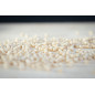 Fregola Biologica Cappelli - Pasta di Grano Duro Cappelli - Prodotto Tipico Sardo - Pacco da 500 g - Artinpasta Fregola Biologica Cappelli - Pasta di Grano Duro Cappelli - Prodotto Tipico Sardo - Pacco da 500 g - Artinpasta