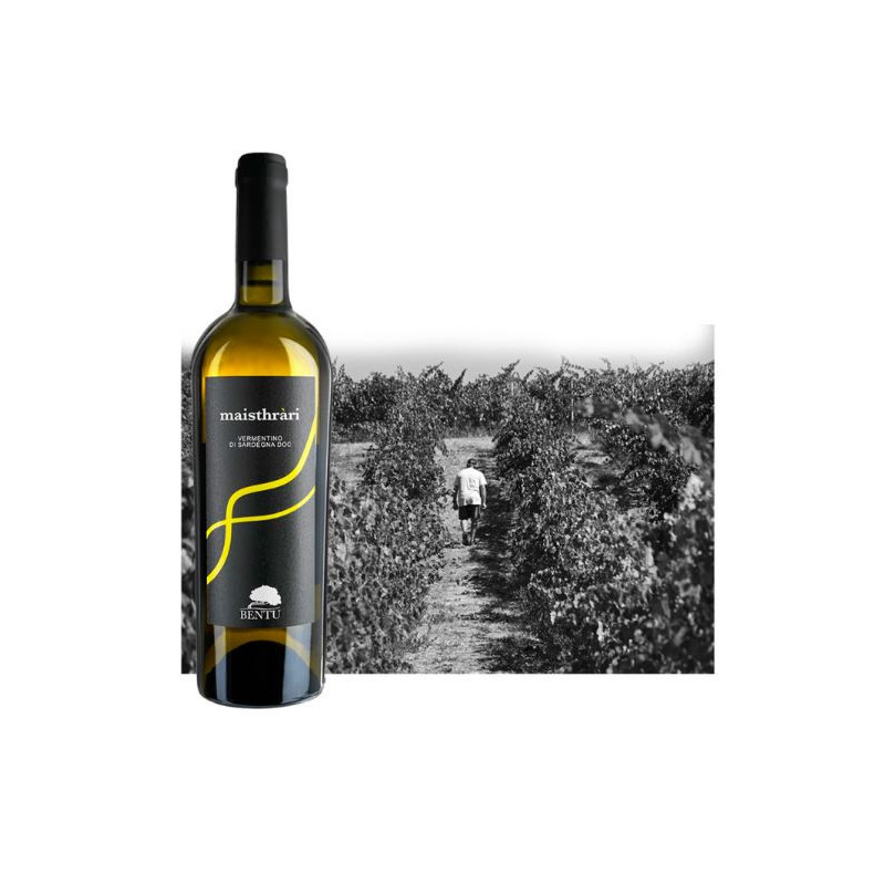 copy of Li Surreddi Rosso - Antichi Vigneti Manca copy of Li Surreddi Rosso - Antichi Vigneti Manca