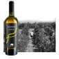 Maisthràri - Vermentino di Sardegna D.O.C. - Vino Bianco - Prodotto Tipico Sardo - Bottiglia 0,75 L - Bentu Maisthràri - Vermentino di Sardegna D.O.C. - Vino Bianco - Prodotto Tipico Sardo - Bottiglia 0,75 L - Bentu