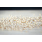 Bio - Artinpasta Bio - Artinpasta