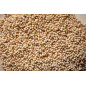 Fregola Tostata Biologica - Pasta di Grano Duro - Prodotto Tipico Sardo - Pacco da 500 g - Artinpasta Fregola Tostata Biologica - Pasta di Grano Duro - Prodotto Tipico Sardo - Pacco da 500 g - Artinpasta