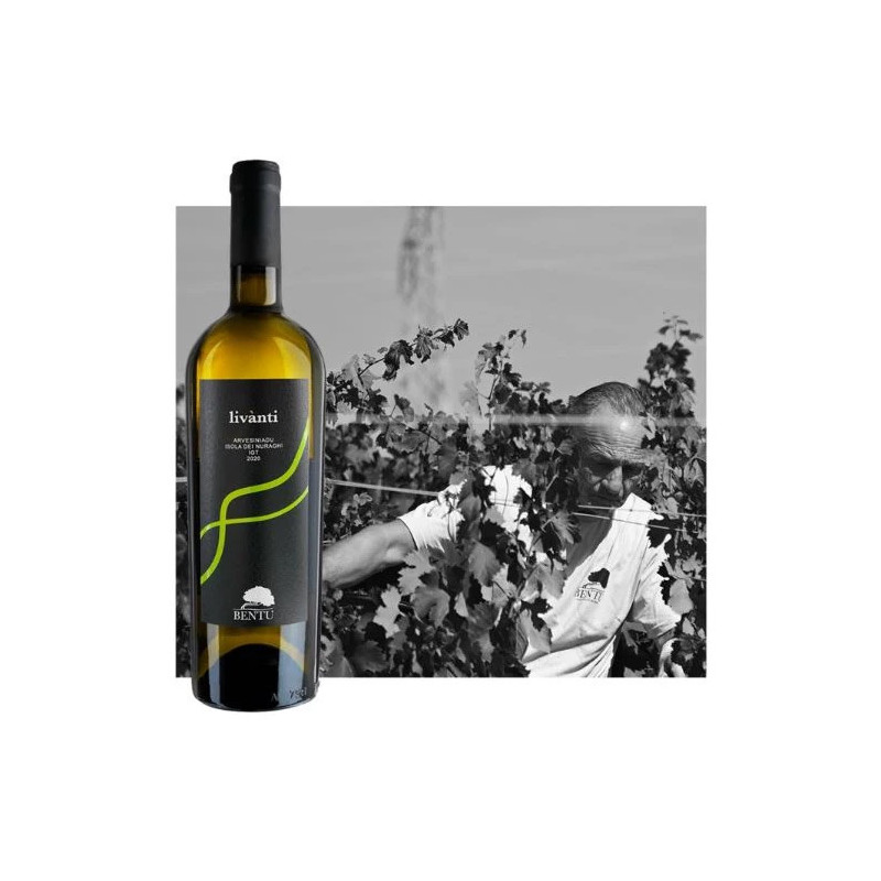 copy of Li Surreddi Rosso - Antichi Vigneti Manca copy of Li Surreddi Rosso - Antichi Vigneti Manca