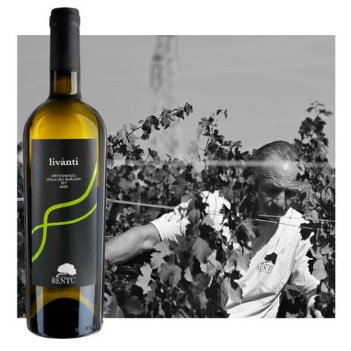 Li Surreddi Rouge - Antichi Vigneti Manca