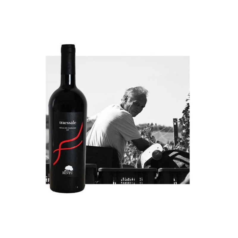 copy of Li Surreddi Rosso - Antichi Vigneti Manca copy of Li Surreddi Rosso - Antichi Vigneti Manca