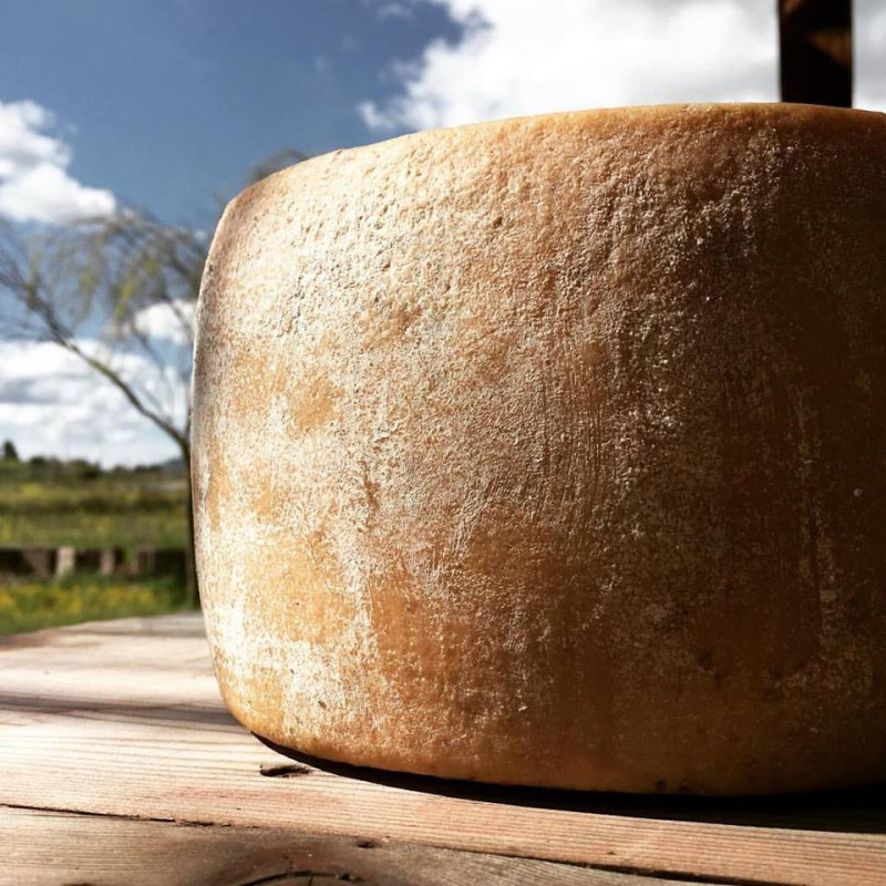 Bio-Pecorino mit pflanzlichem Lab - Inke Bio-Pecorino mit pflanzlichem Lab - Inke