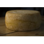 Caciotta, formaggio di pecora - Su Pranu Caciotta, formaggio di pecora - Su Pranu