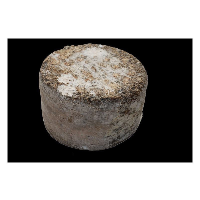 Gemischter Ziegenblauschimmelkäse - Monte Accas Gemischter Ziegenblauschimmelkäse - Monte Accas