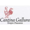 Cantina Gallura