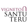 Vigneto Santu Teru