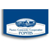 Nuovo Consorzio Cooperative Pontis