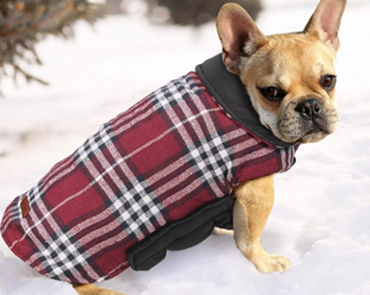 Pets Cloths 1