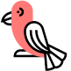 Dog 4
